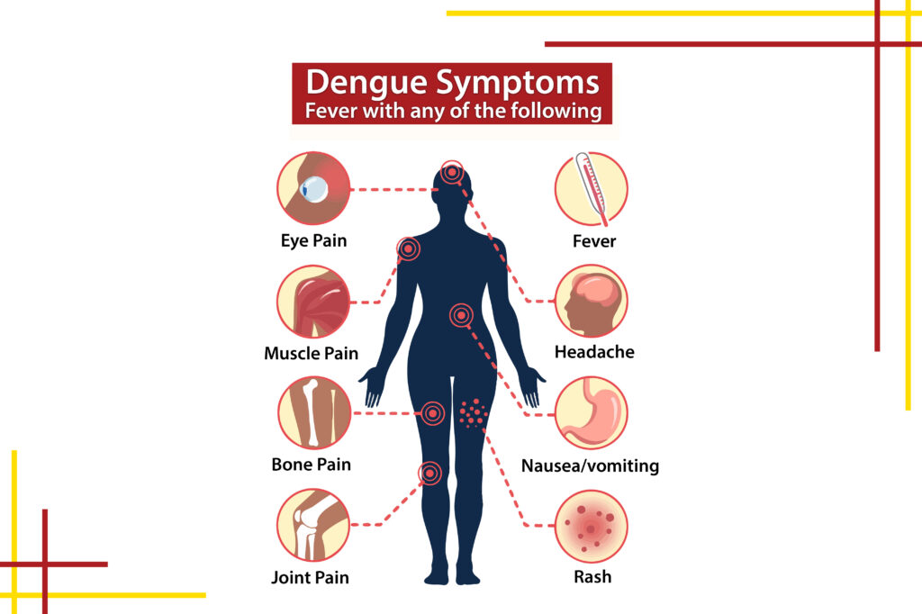 DENGUE TREATMENT IN HOMEOPATHY